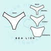 Sea Lion Cheeky Reversible Bottom