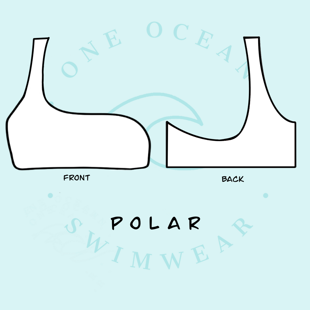 Polar Reversible Top